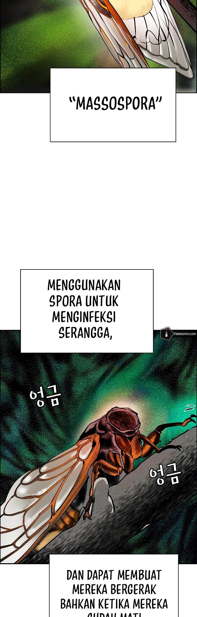 Halaman 45
