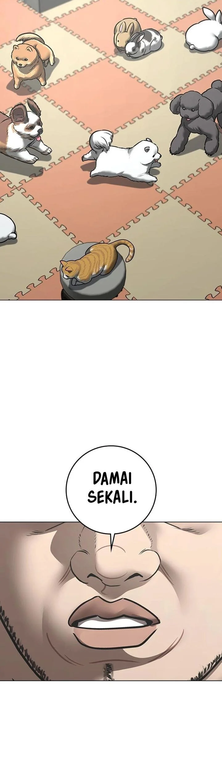 Halaman 44