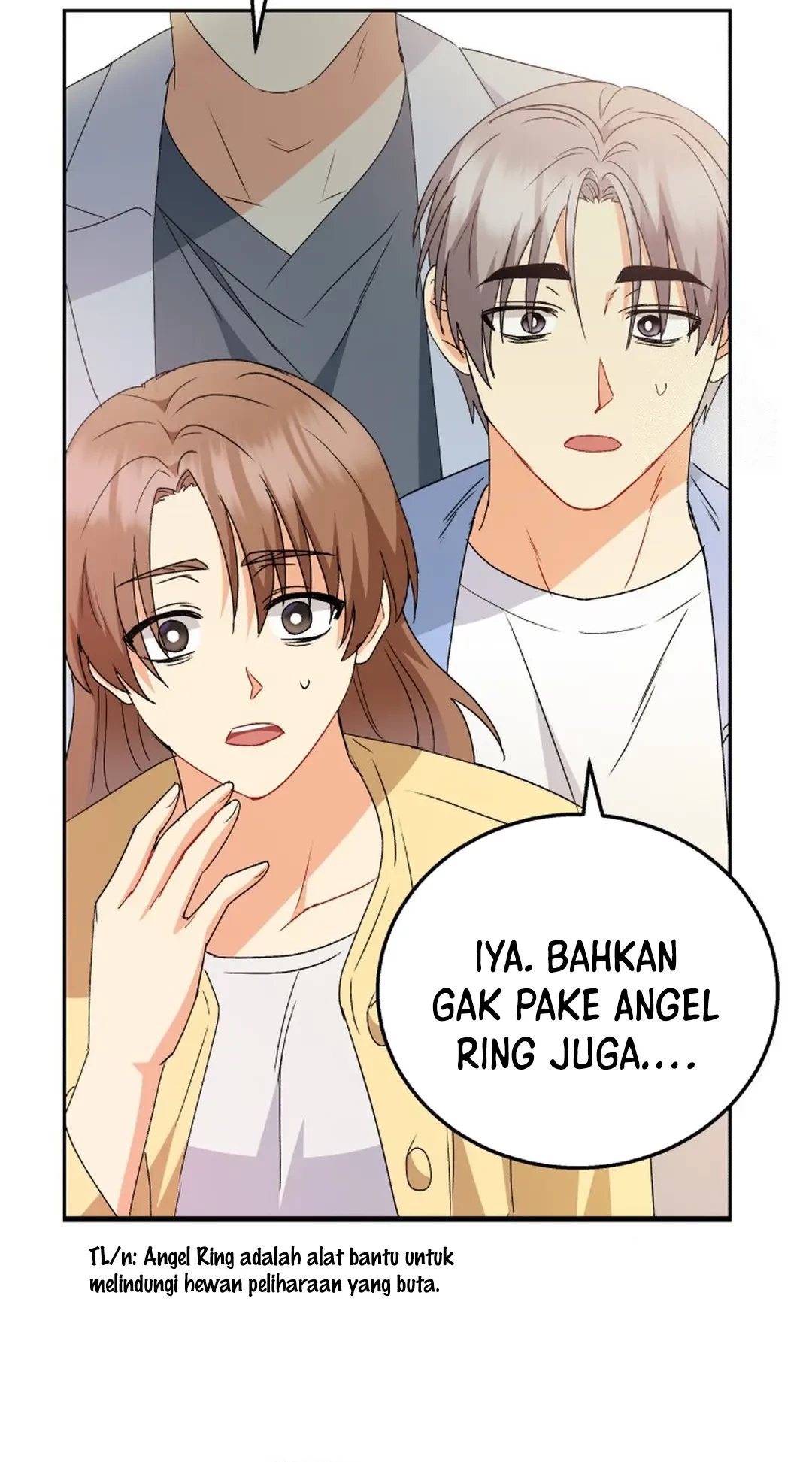 Halaman 261