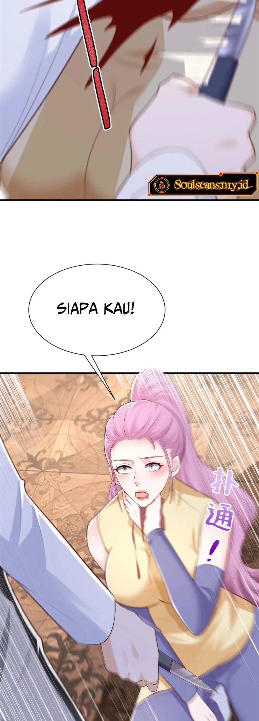 Halaman 17