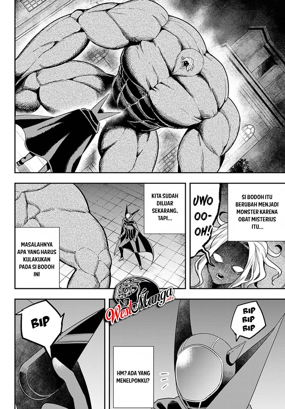 Halaman 17