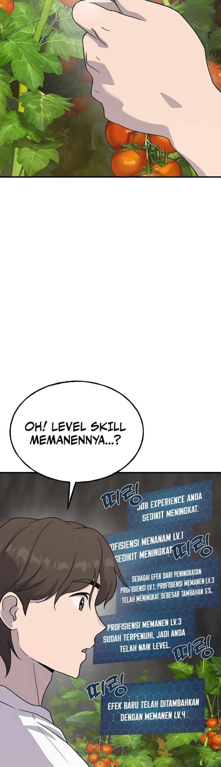 Halaman 527