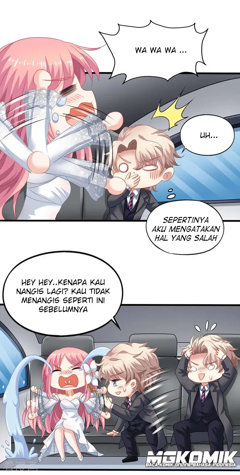 Halaman 17