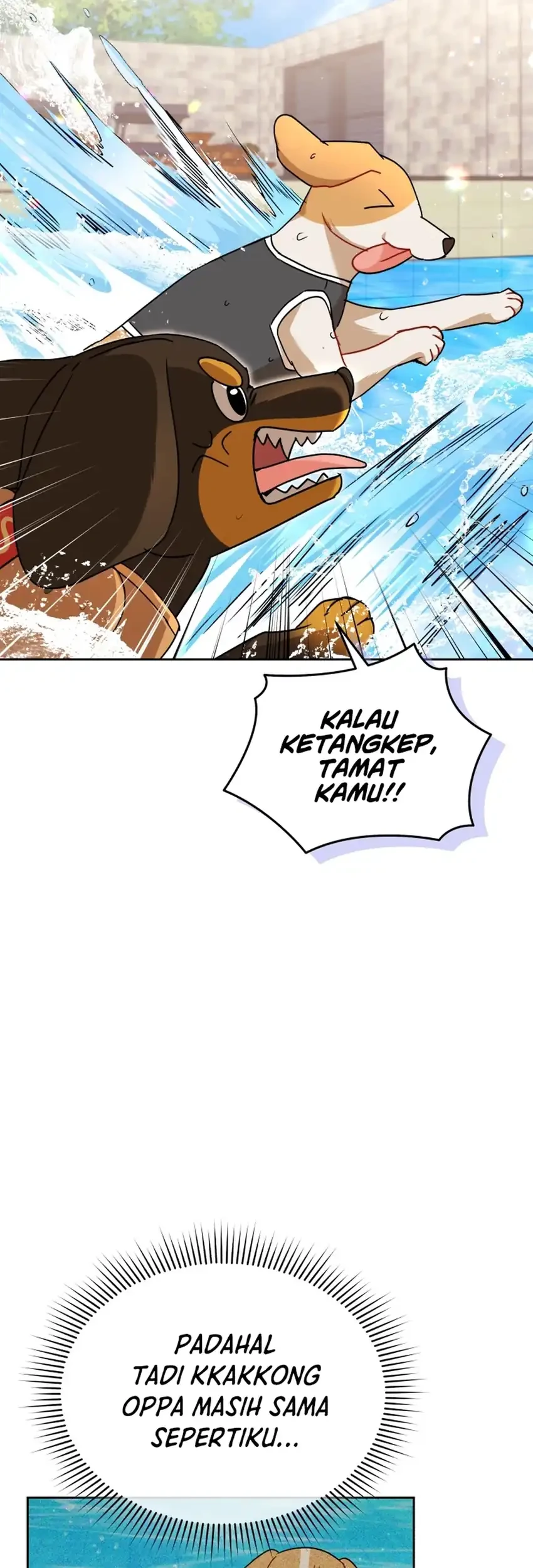 Halaman 113