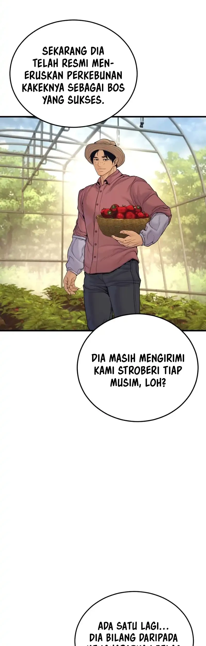 Halaman 43
