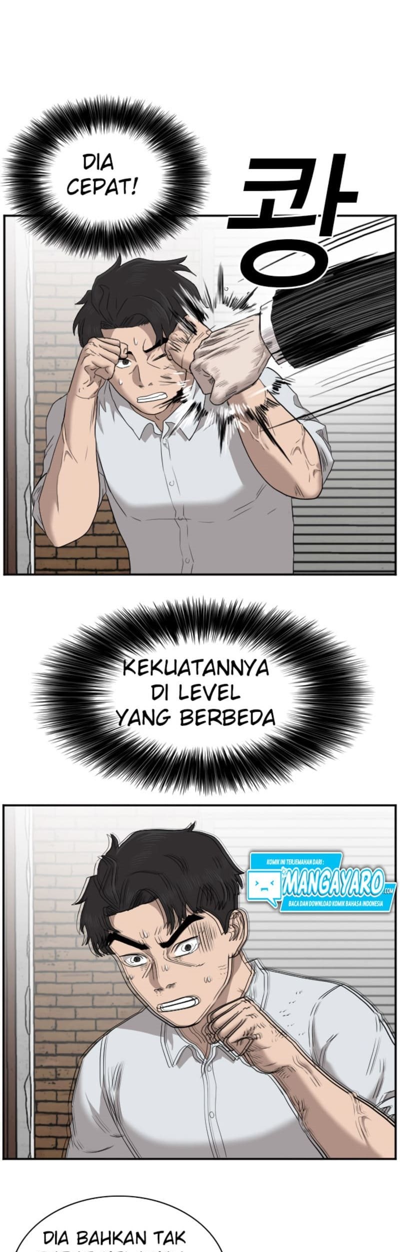 Halaman 423