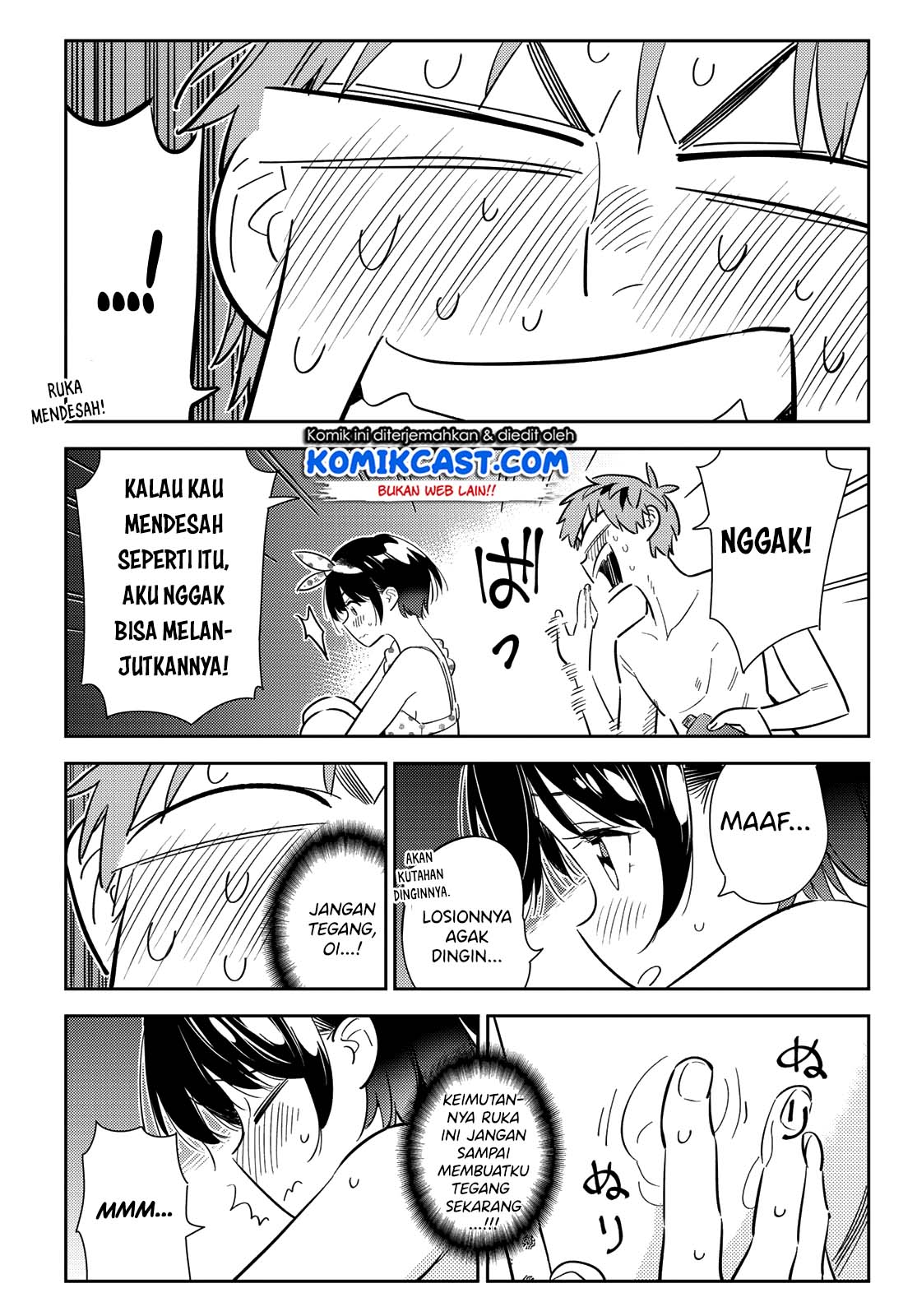 Halaman 13