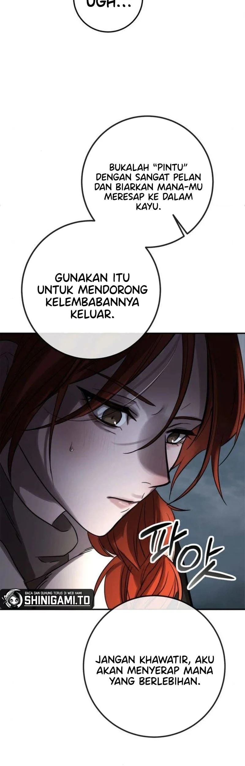 Halaman 102