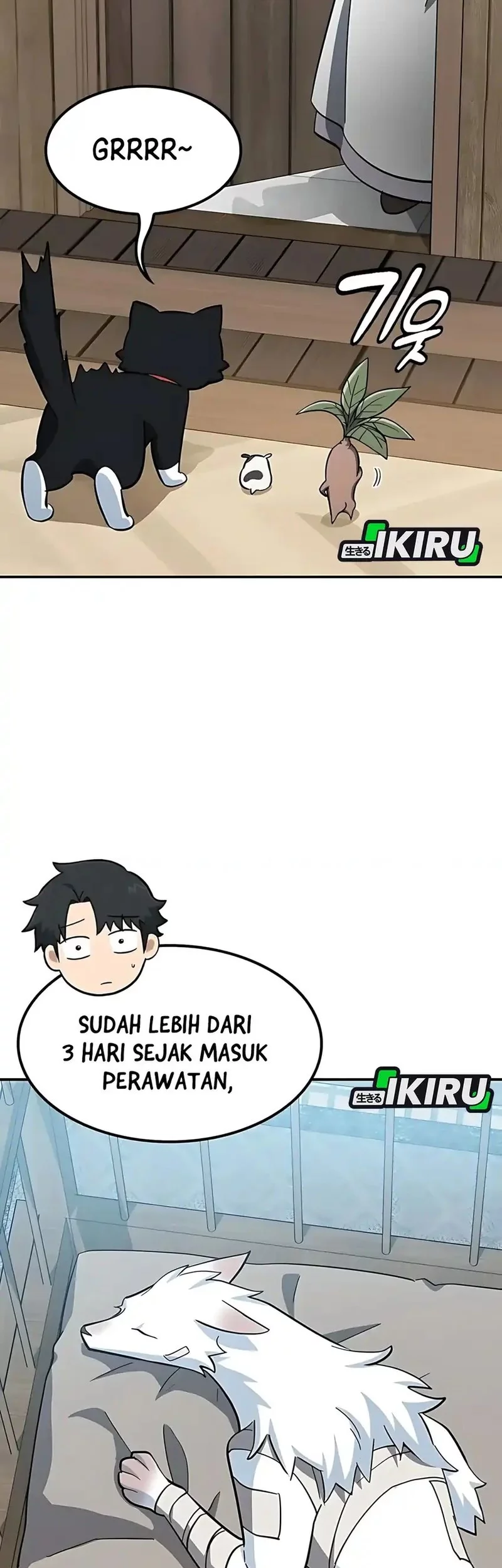 Halaman 38