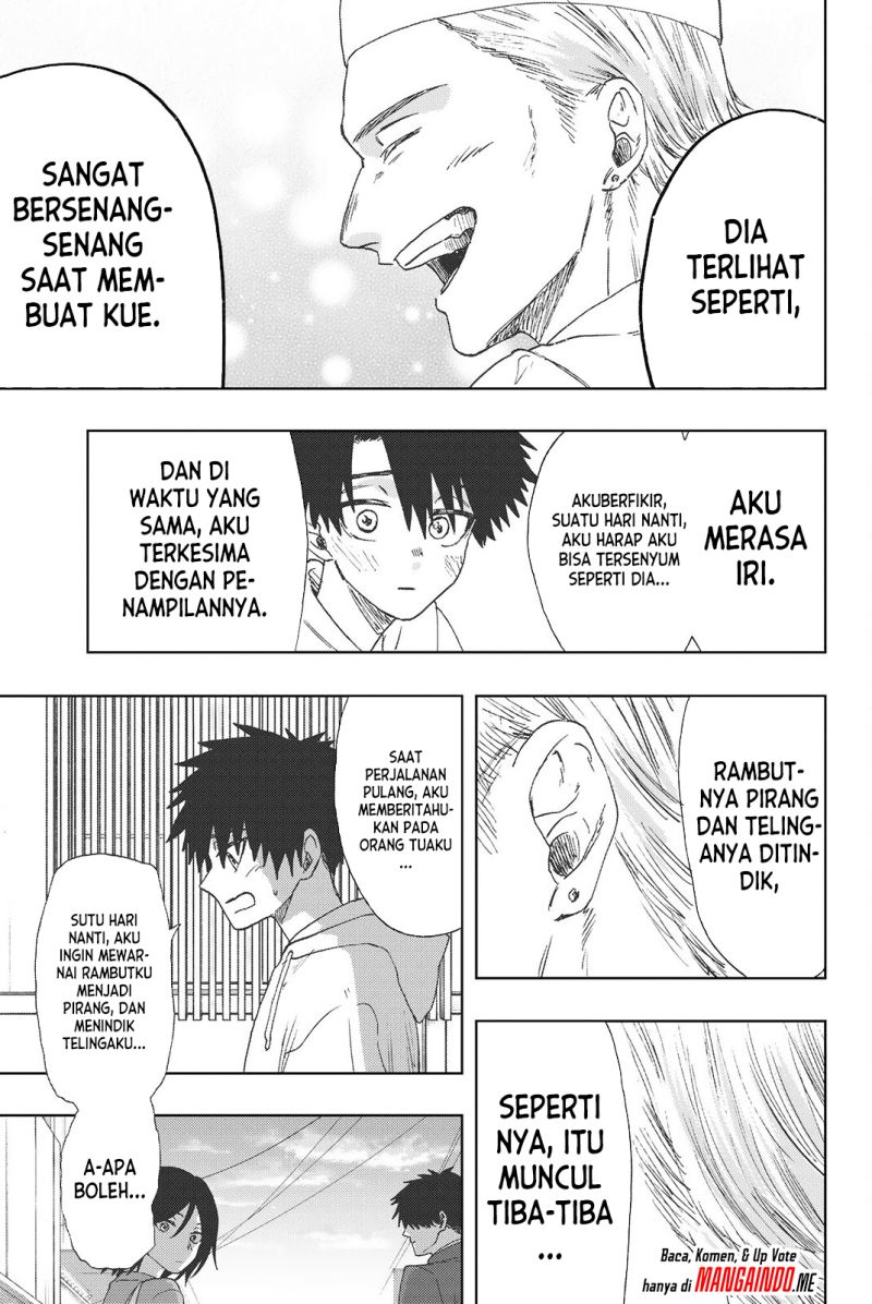 Halaman 17