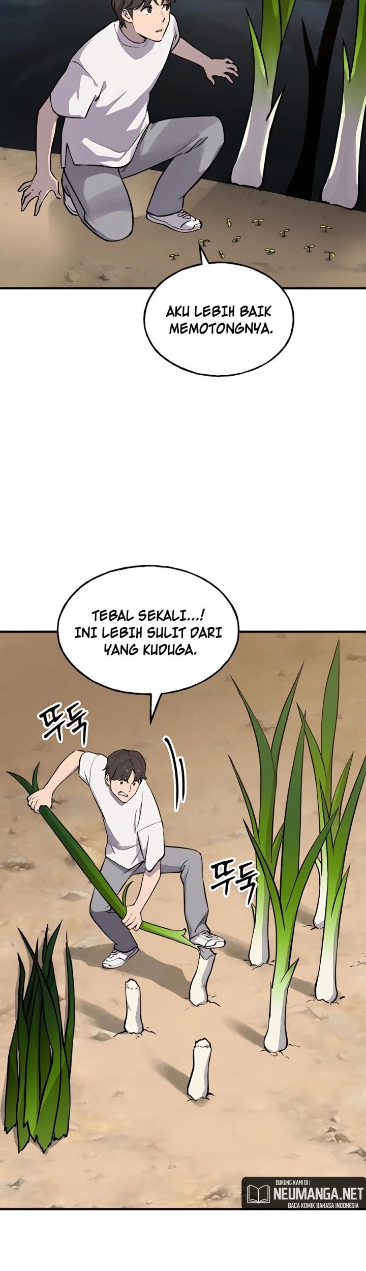 Halaman 52