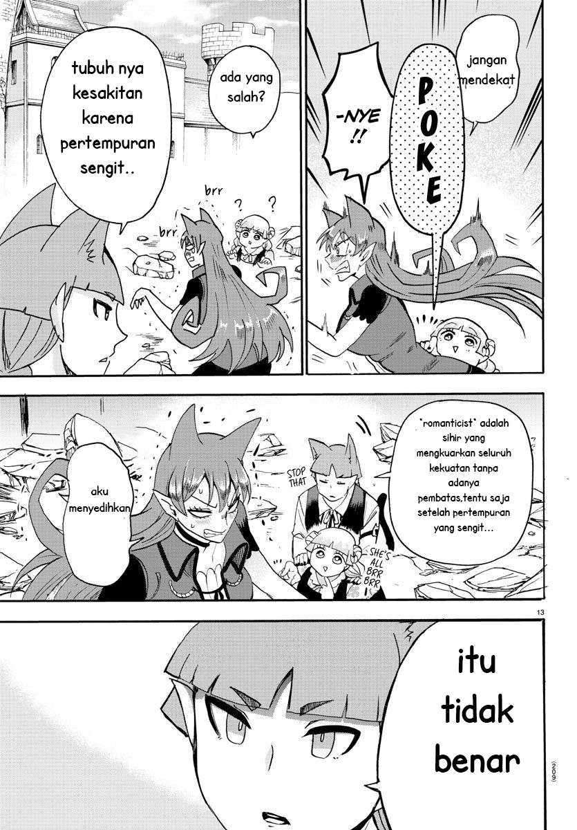 Halaman 13