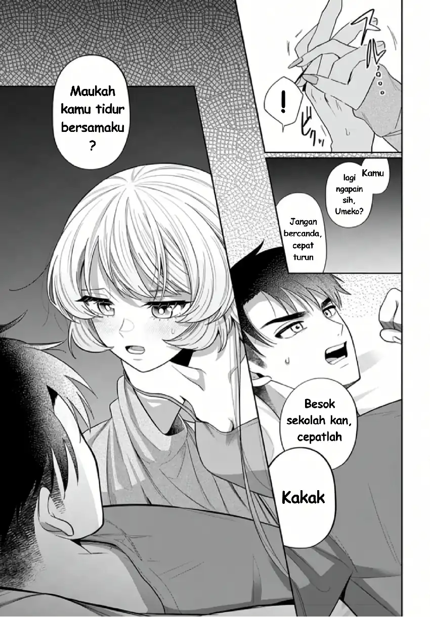 Halaman 17