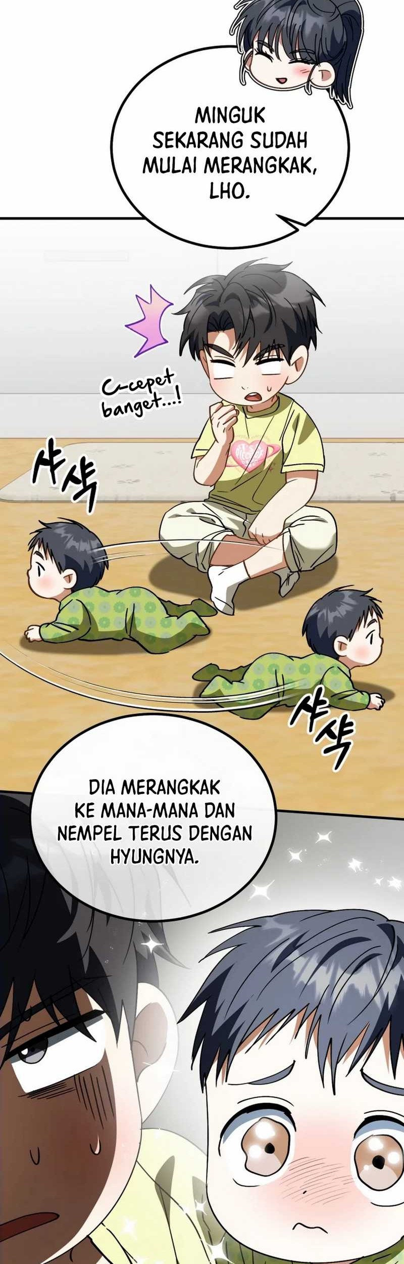 Halaman 43