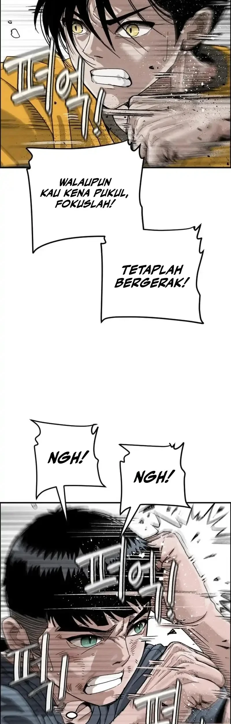 Halaman 206