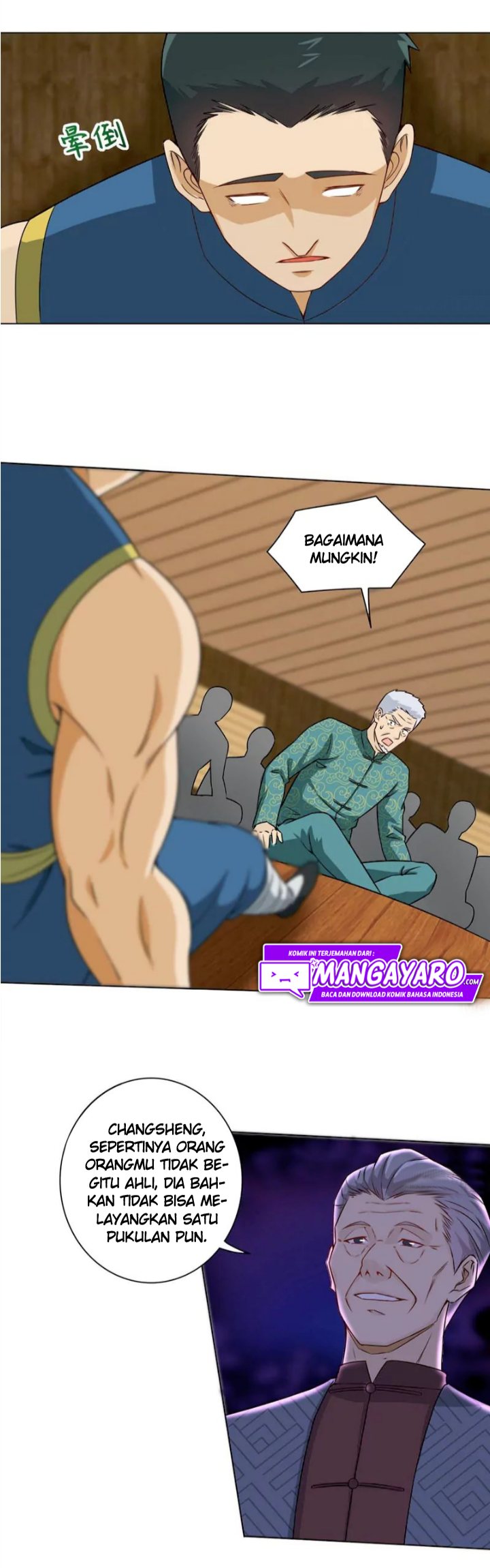 Halaman 17