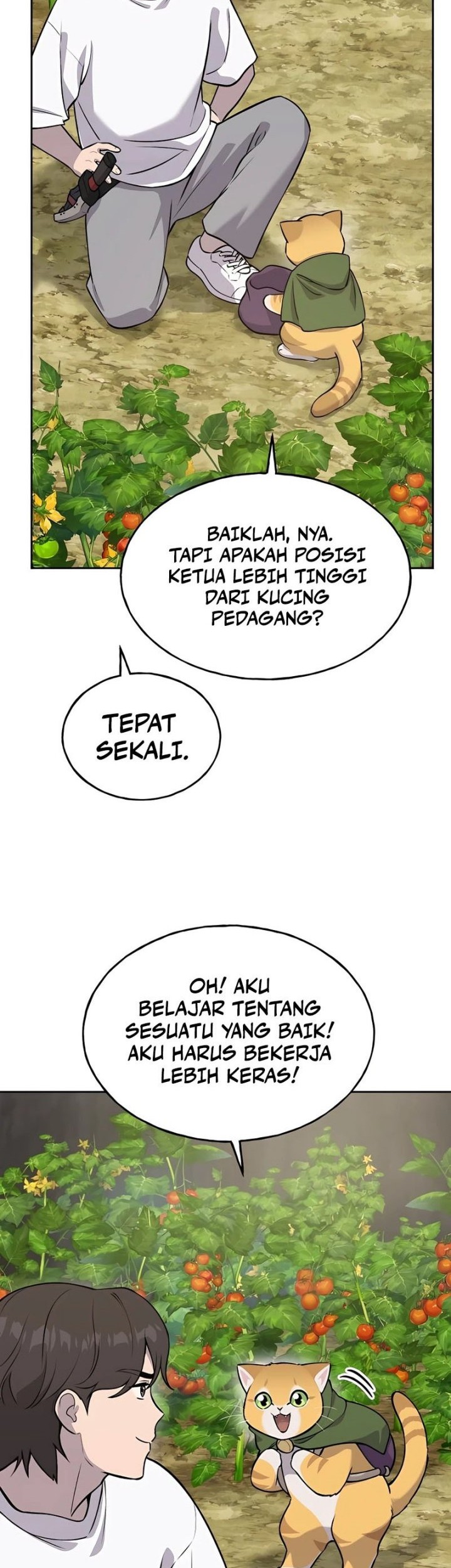 Halaman 234