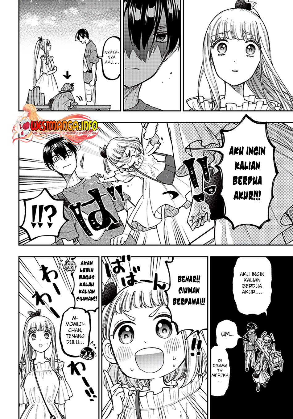 Halaman 17