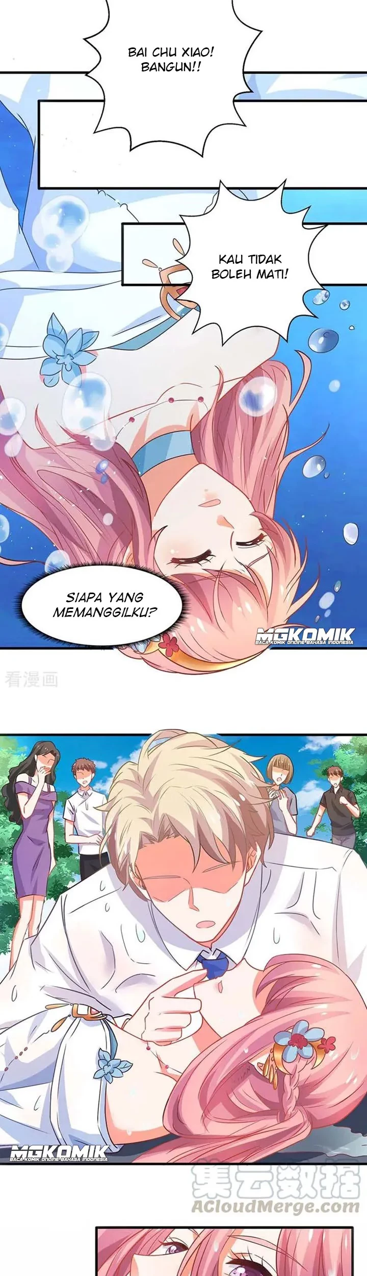 Halaman 17