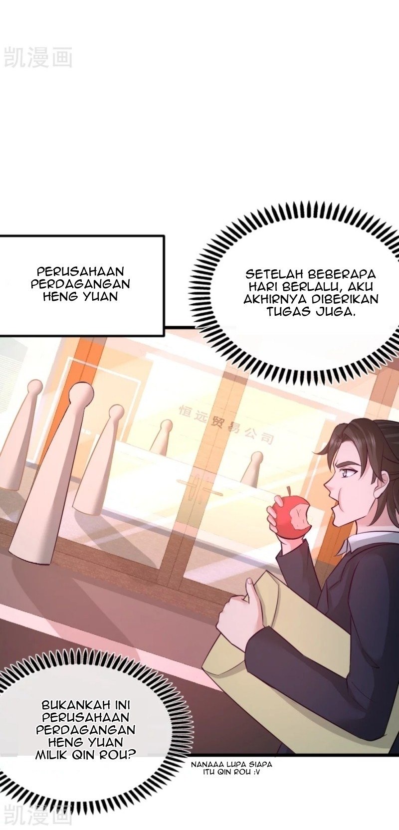 Halaman 17