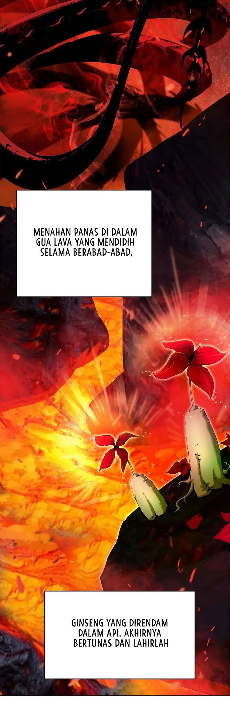 Halaman 267