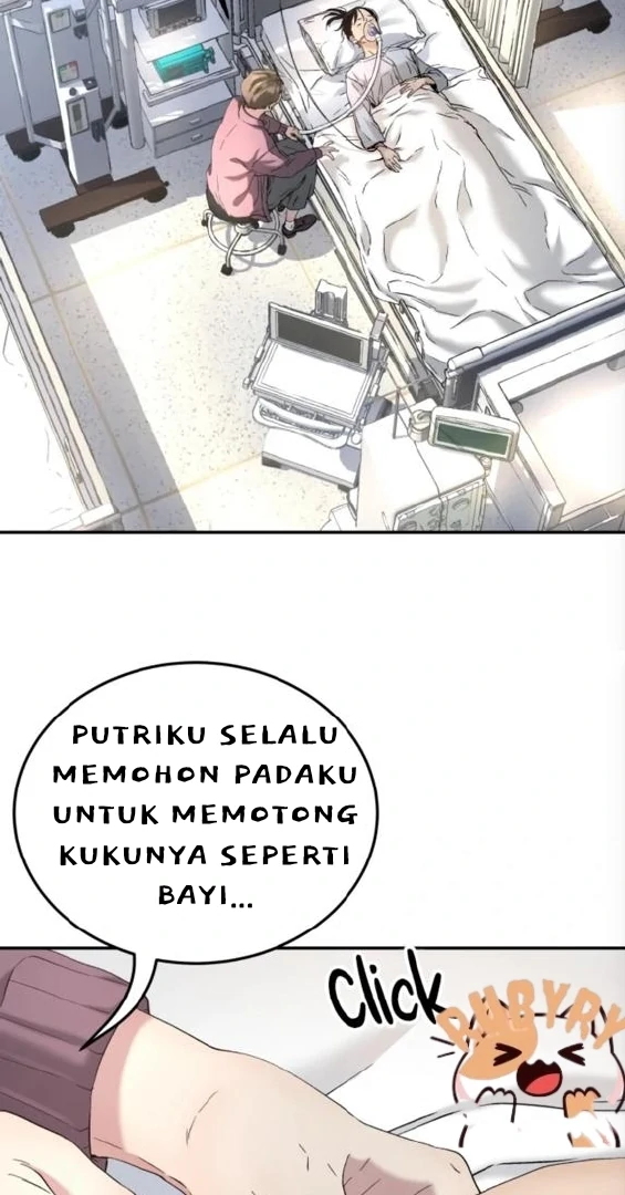 Halaman 737