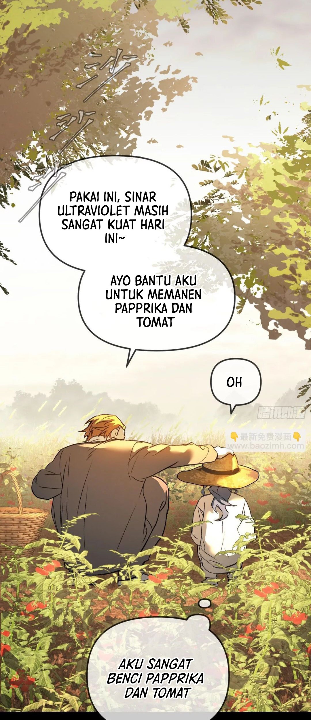 Halaman 224