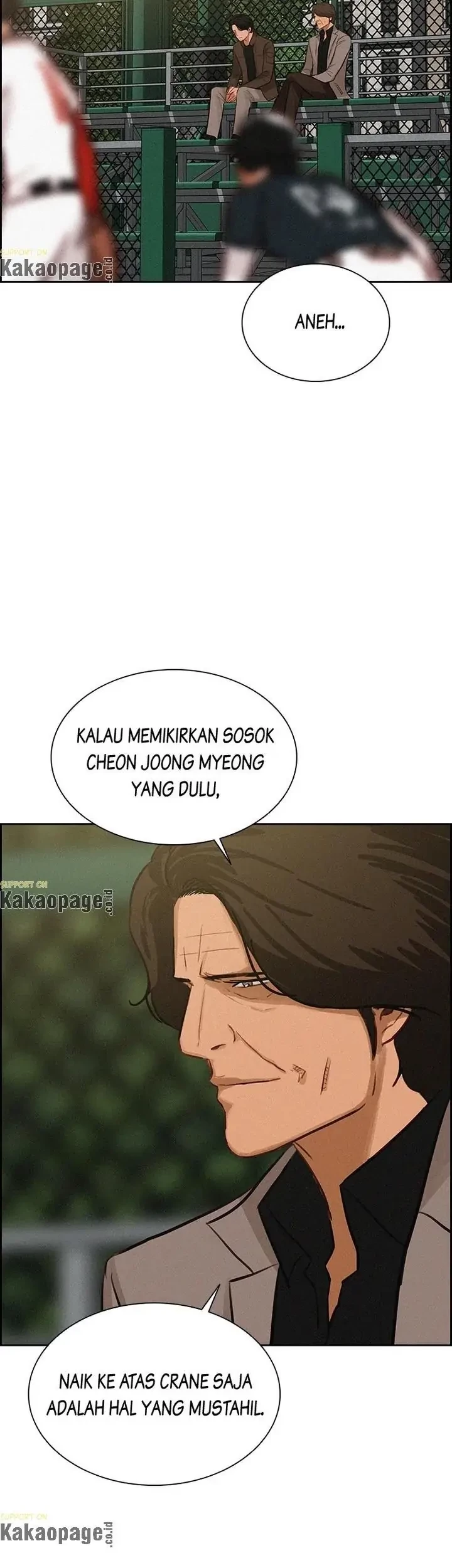 Halaman 247