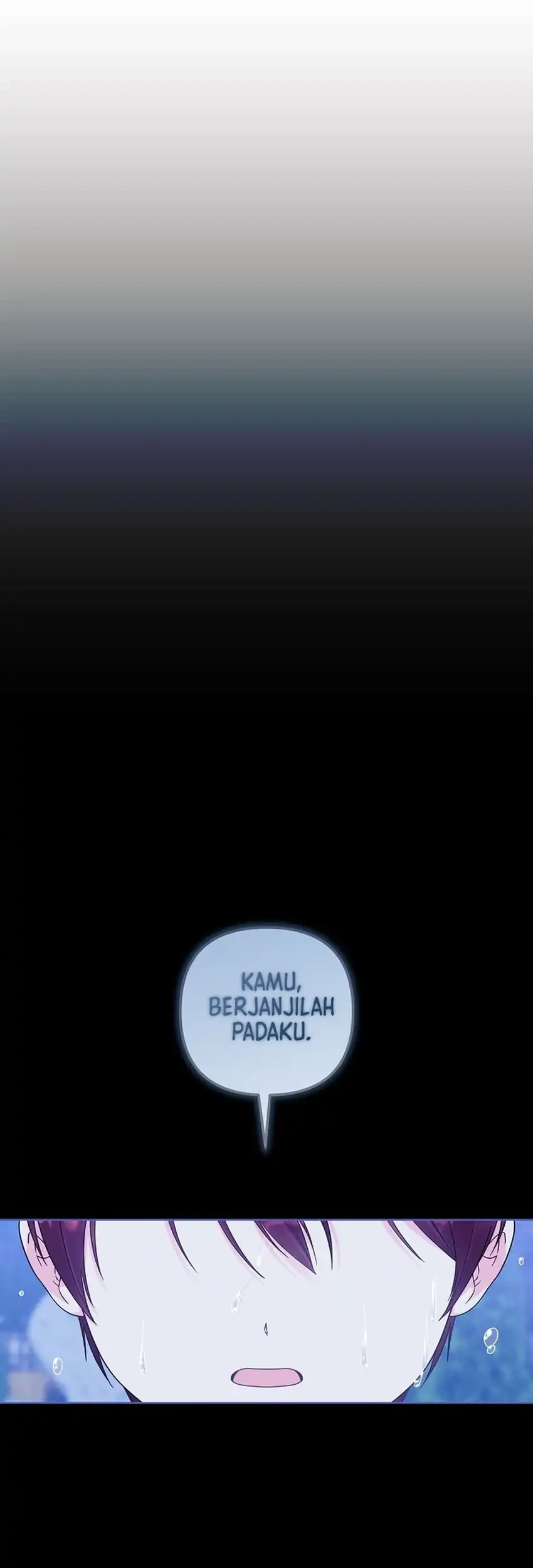 Halaman 300