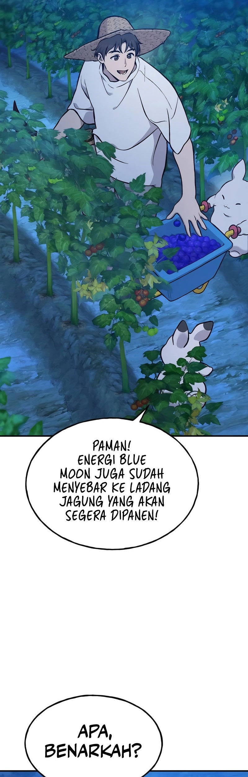 Halaman 164