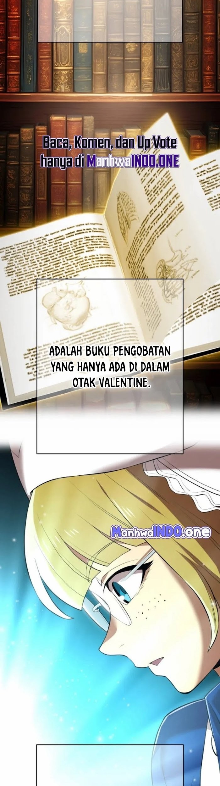 Halaman 233