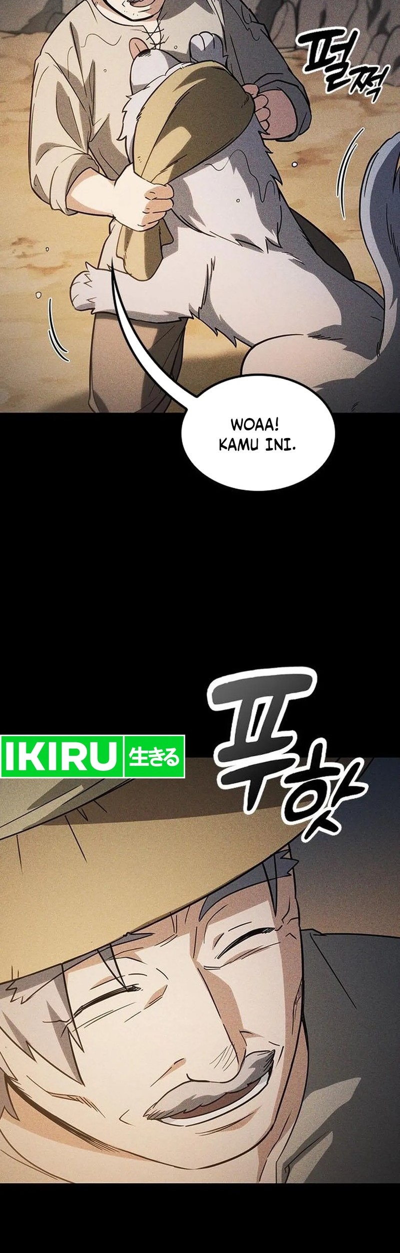 Halaman 12