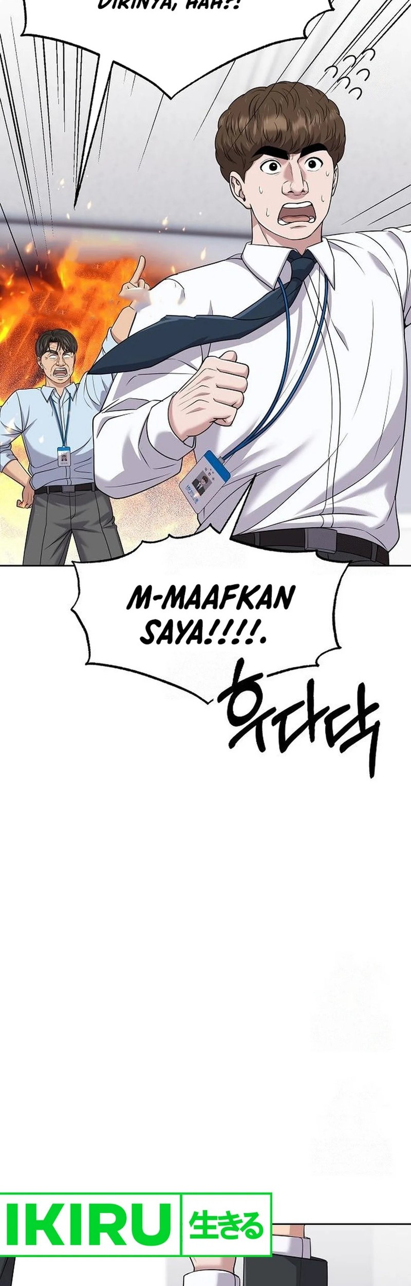 Halaman 17