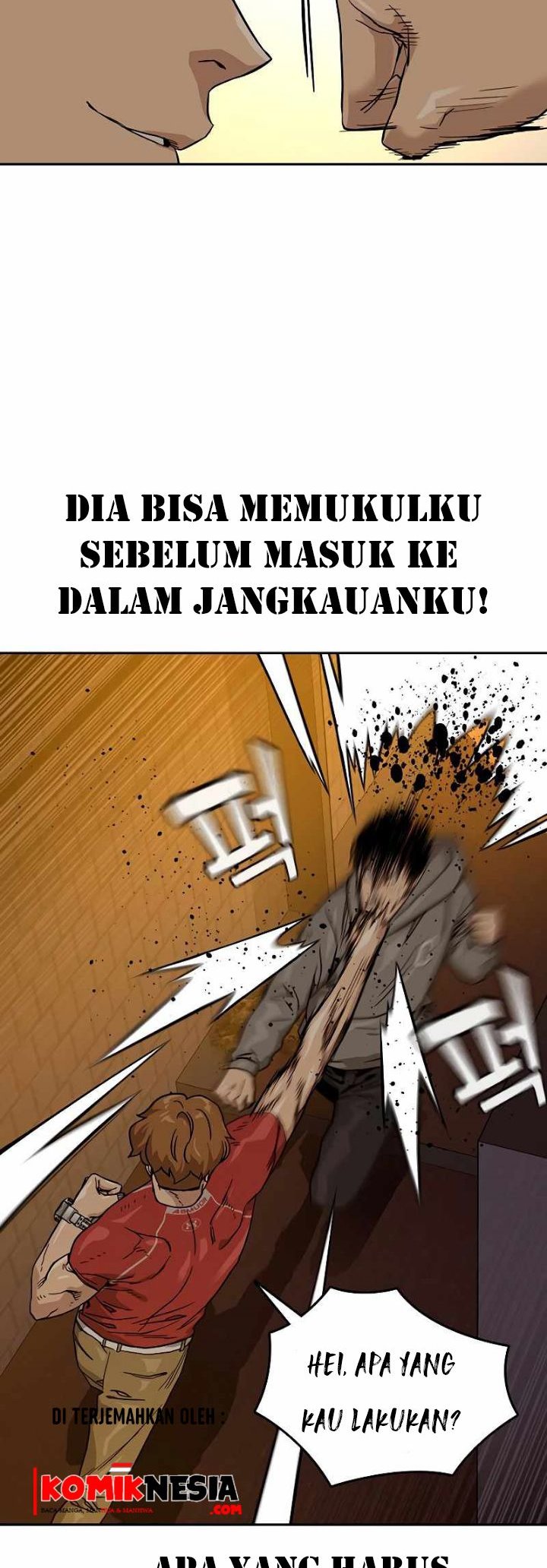 Halaman 15