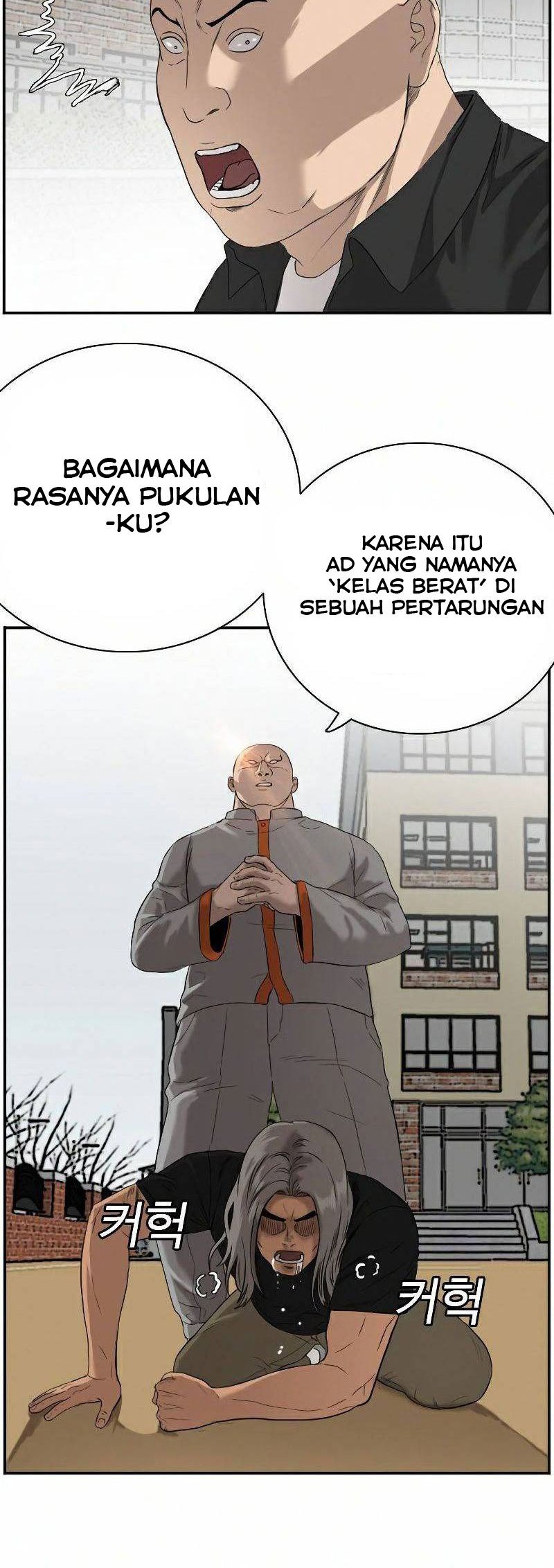 Halaman 233