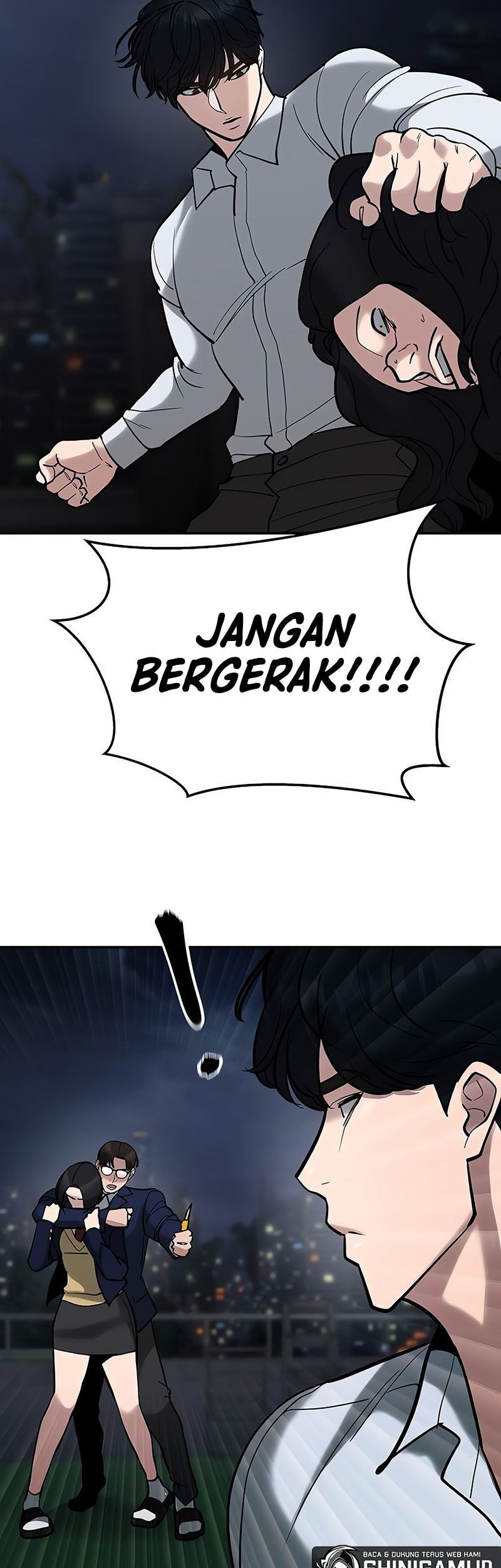 Halaman 17