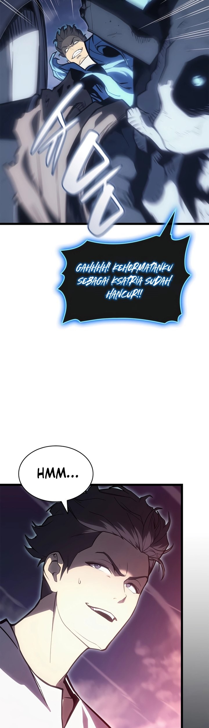Halaman 219
