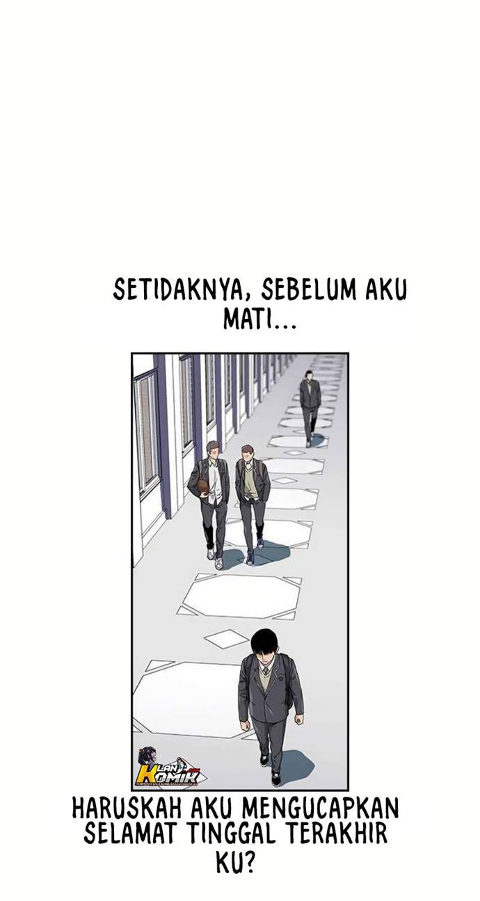 Halaman 244