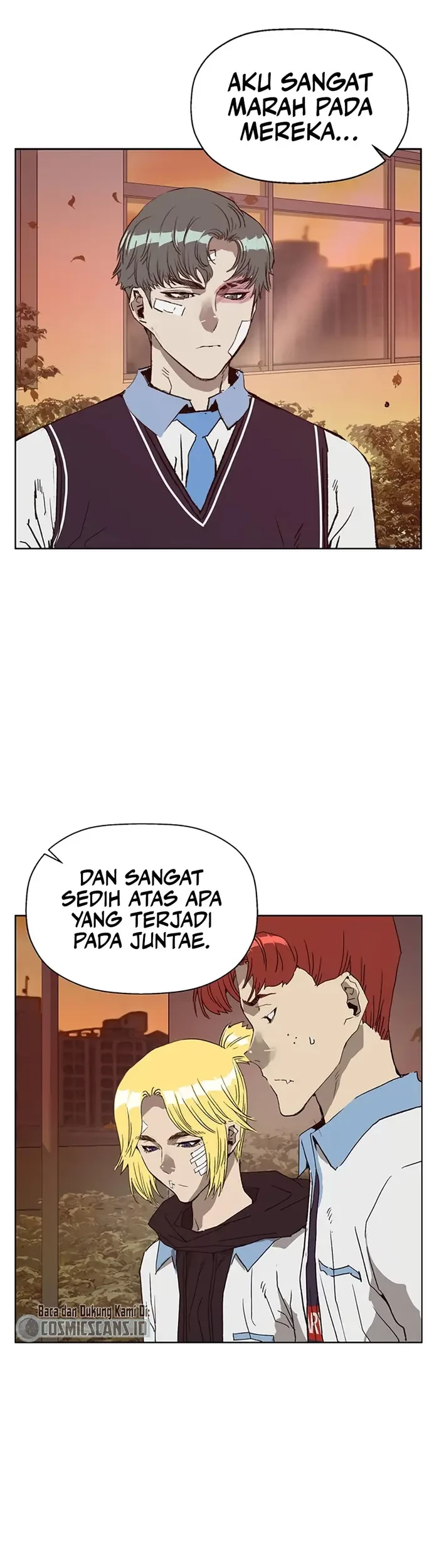 Halaman 17