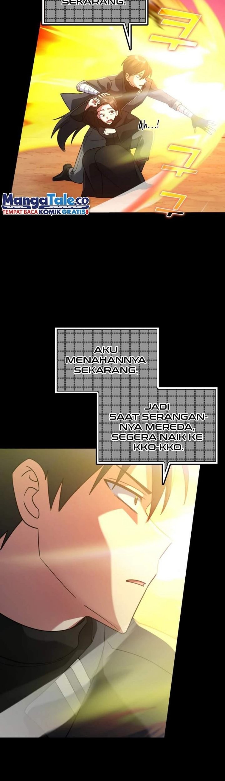 Halaman 17
