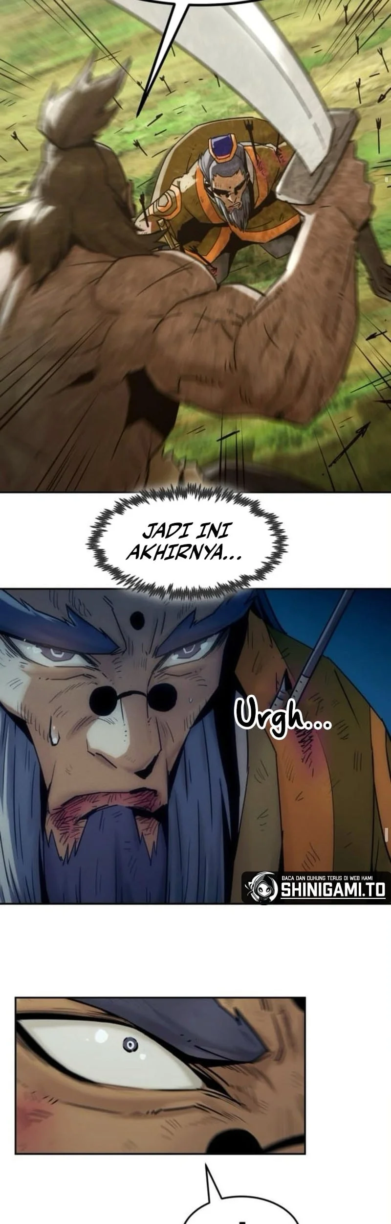 Halaman 17