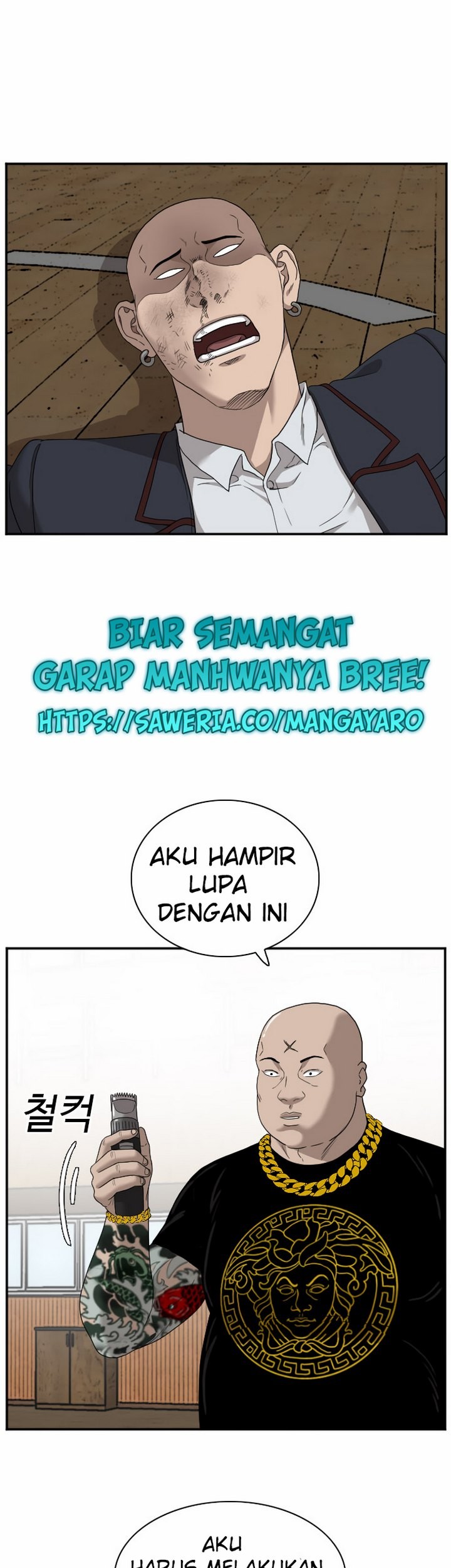 Halaman 243