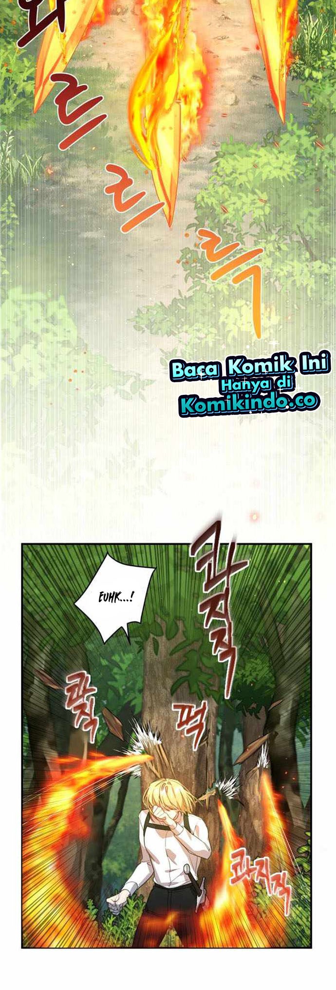 Halaman 215