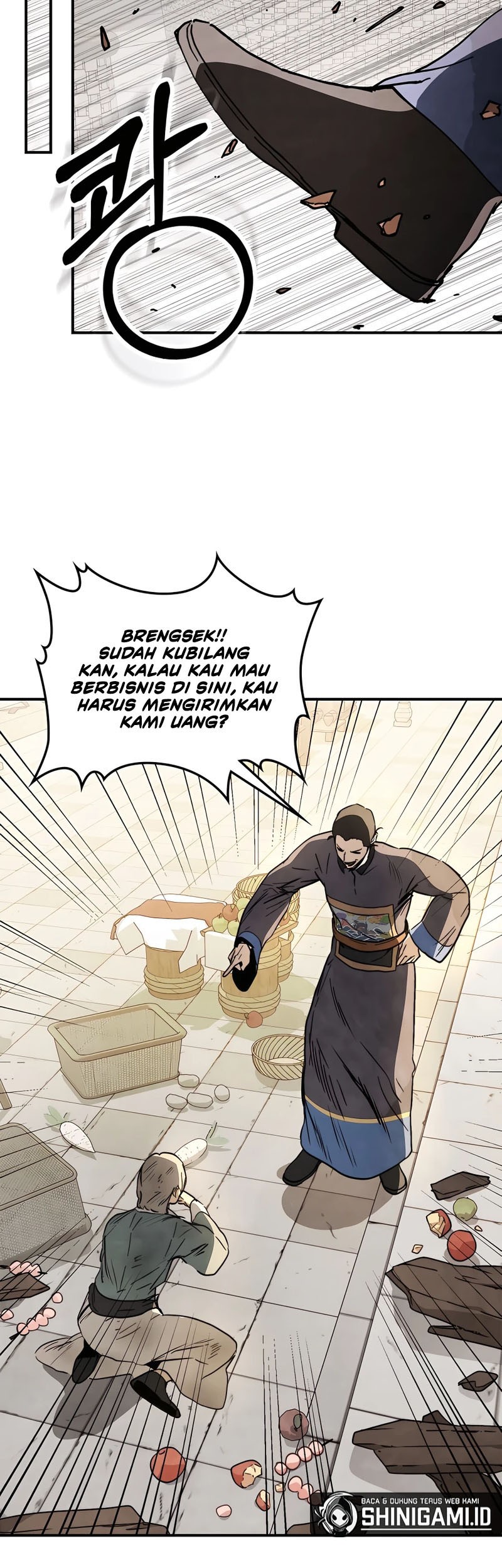 Halaman 17