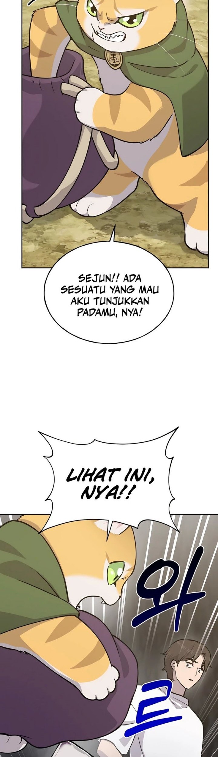 Halaman 204