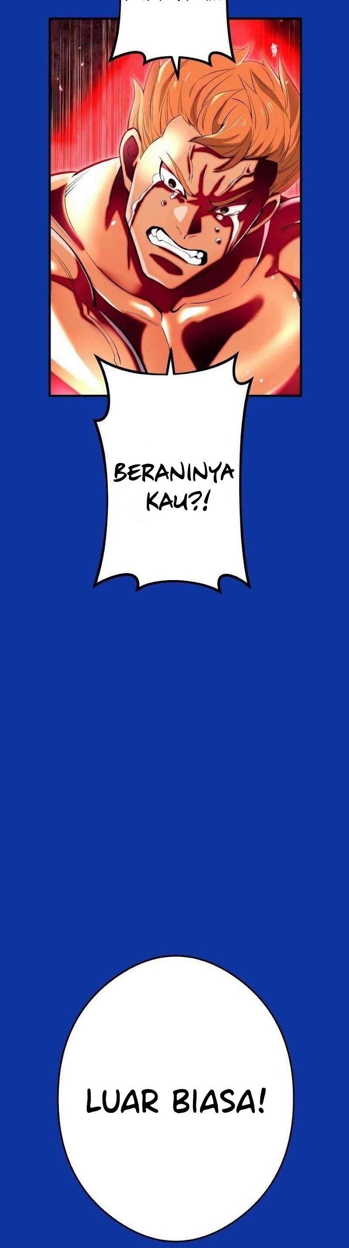 Halaman 247