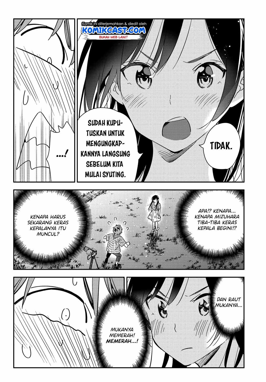 Halaman 17