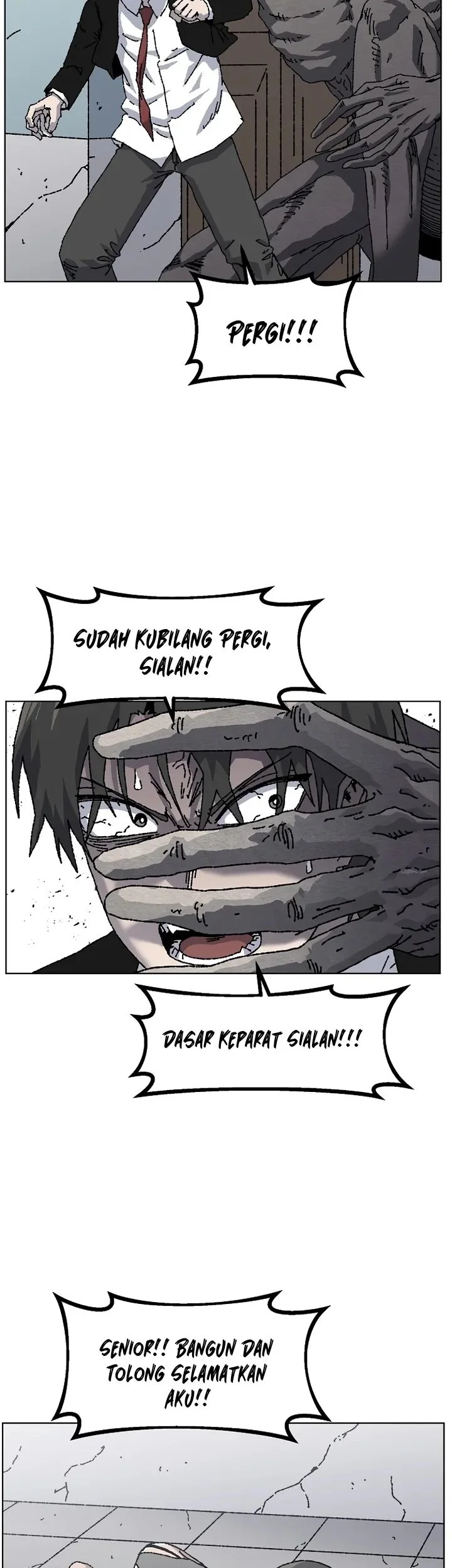 Halaman 17