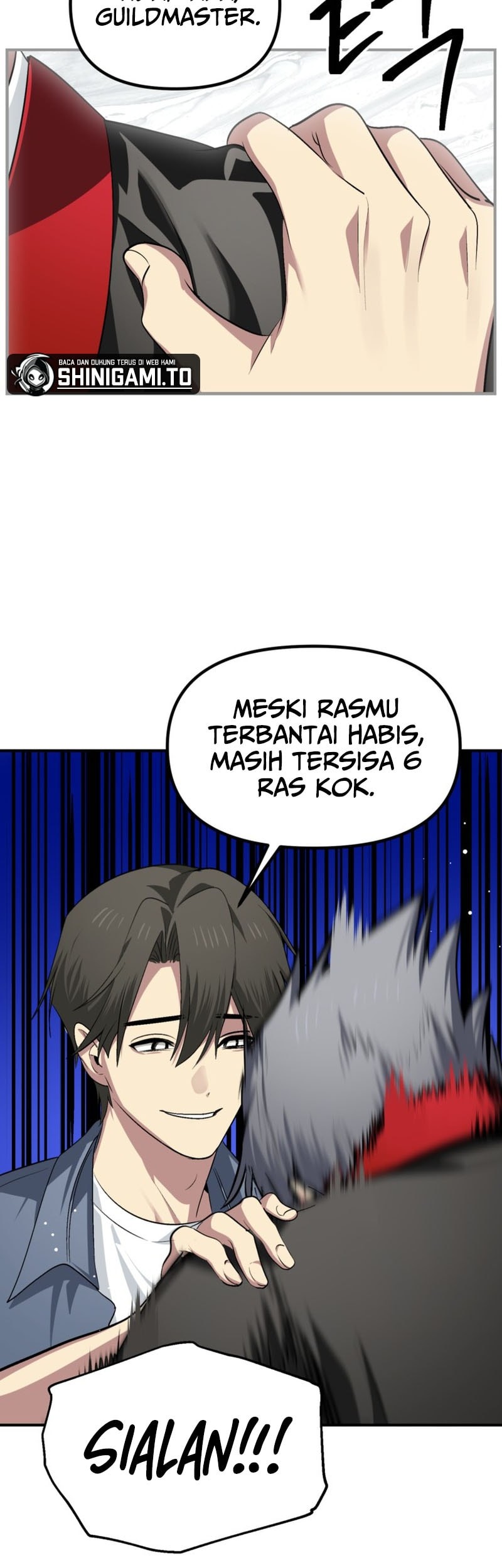 Halaman 17