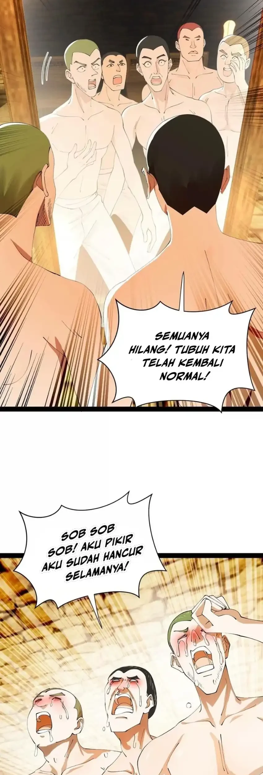 Halaman 17